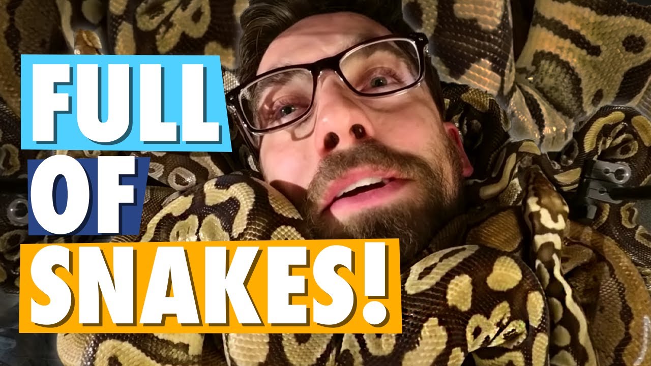snake bites eric s crotch cold blooded trivia 1 youtube