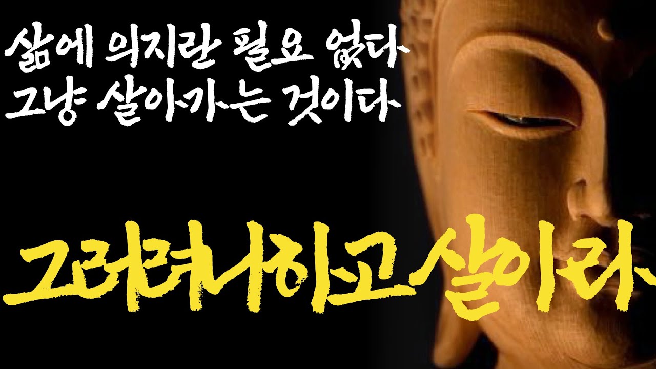 행복하게 사는 법|마음을 편안하게 해주는 부처님 말씀|듣기만 해도 불안과 걱정이 사라지는 부처님 말씀|나이 들수록 잘 사는 법|부처님말씀|석가모니|ASMR|법정|법륜|인생조언|불교