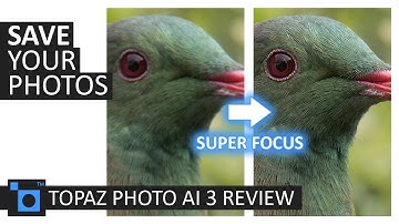 Topaz Photo AI 3 Review 2024 -  Test and Compared against Gigapixel 8