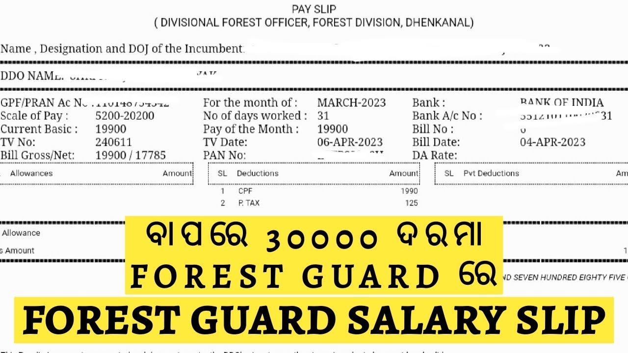 Forest Guard Salary Slip Forest Guard Forest forest-guard-salary-slip-forest-guard-forest