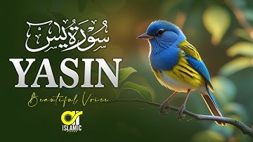 Surah Yasin (Yaseen) سورة يس | Relaxing Voice Will Touch Your HEART Like Never Before | EP -151