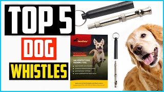 Top 5 Best Dog Whistles Review in 2021