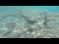 Подводные съемки GoPRO, Средиземное море