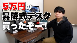 ヘルニア改善！5.3万円の電動昇降式スタンドデスクを買ったぞー！！FlexiSpot