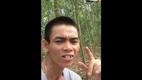 [TỔNG HỢP] SOYTIET- ANH CHĂN BÒ VIỆT NAM HÁT TIẾNG ANH NỔI TIẾNG NHẤT THẾ GIỚI