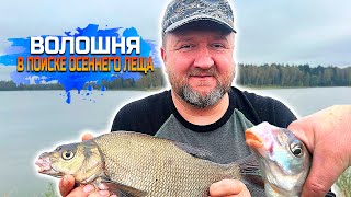 картинка: ВОЛОШНЯ,В ПОИСКАХ ОСЕННЕГО ЛЕЩА  Часть 1-ая.