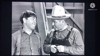 The three stooges: top 10 funny curly moments
