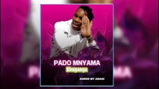 Pado mnyama__buganga__afficial audio