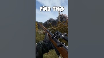 Is The Mosin One of The Best Rifles in DayZ? #dayz #shorts