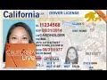 Know Before You Go: Getting a Real ID | California Live | NBCLA