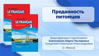 Тема 93. Преданность Питомцев