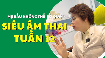 Mẹ bầu không thể bỏ qua - Siêu âm thai tuần 12, đo độ mờ da gáy và Xét nghiệm Nipt |Bác Sĩ Hạnh