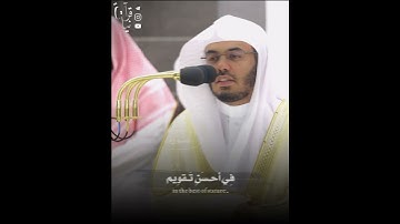 ﴿وَالتّينِ وَالزَّيتونِ﴾ سورة التين للشيخ ياسر الدوسري عشائية رمضانية 🤍.