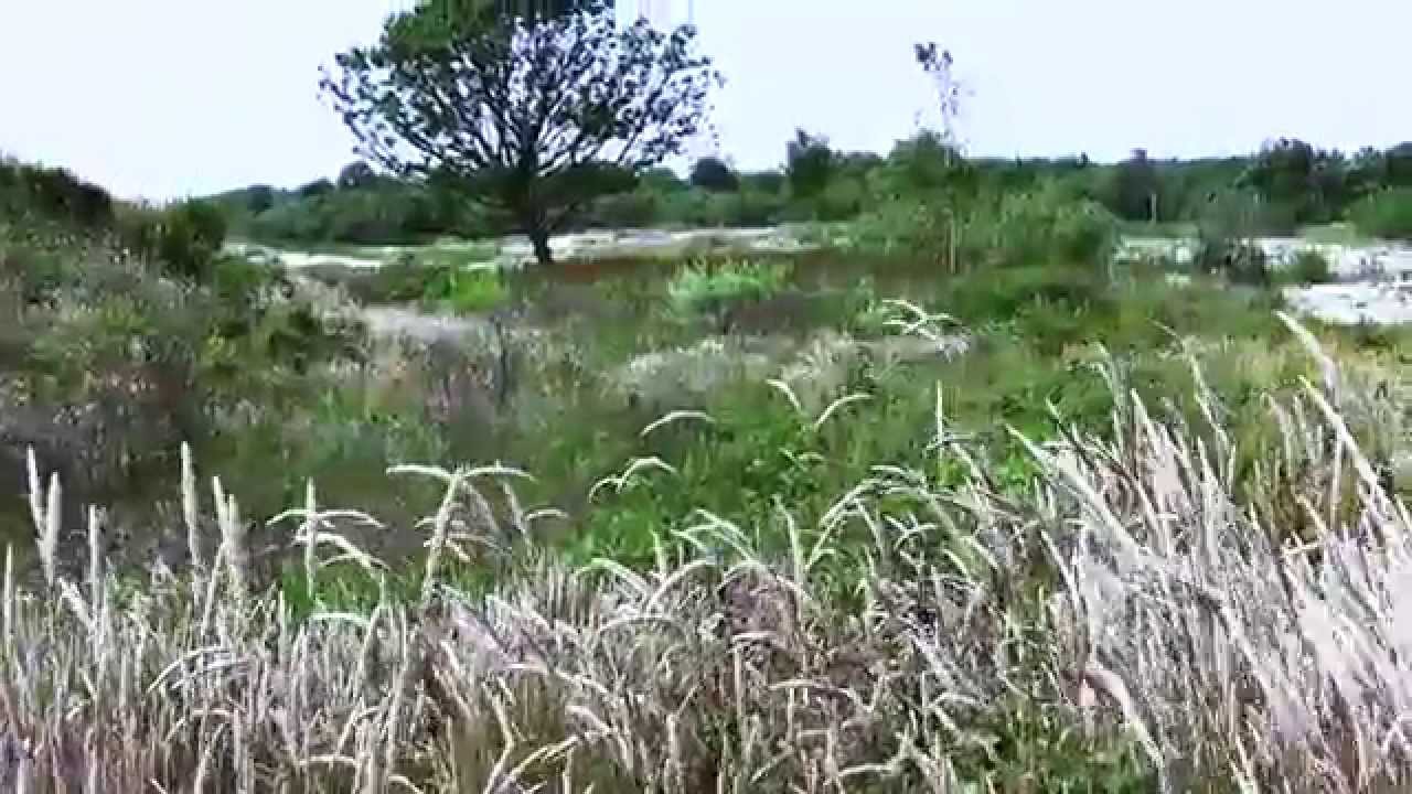 Voornes duin