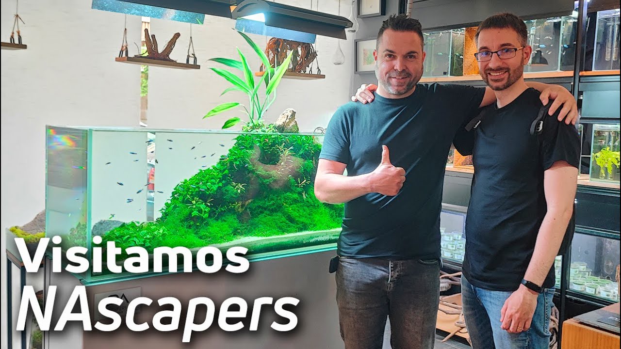 NAscapers es el Paraíso del Aquascaping en Valencia | Tienda de Acuariofilia 🐠🌿
