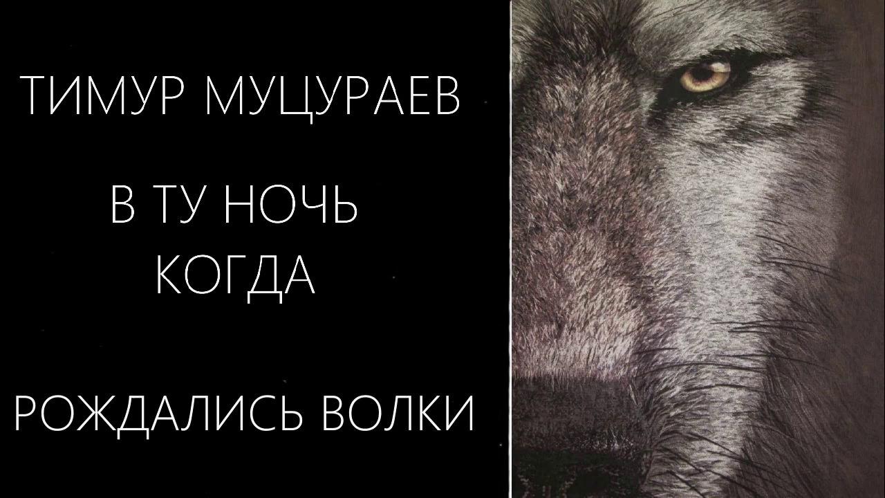 волк мем. о многом в жизни забываю. муцураев когда рождались волки. в ту ночь когда рождались. ангелы возвещают пастухам о рождении.