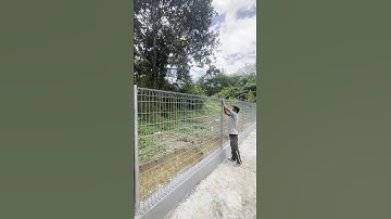 Lắp hàng rào lưới sát đơn giản