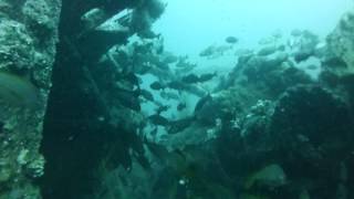 3Ème Vidéo Sur Lépave Tiwa - Dakar Sénégal Avec Nautilus Plongée
