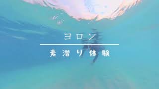 与論島 素潜り体験 講習付きで初スキンダイビング