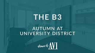 The B3 - Autumn at University District