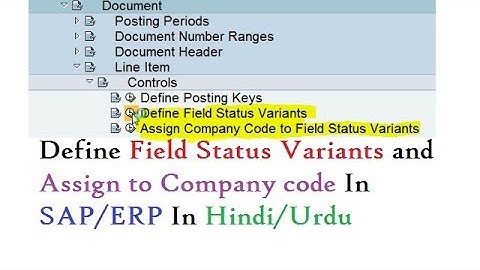 what is field status varien Define field status Varient in SAP ERP Full Tutorial -in Hindi/urdu