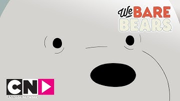 Вся правда о медведях | Музеи и аллигаторы | Cartoon Network