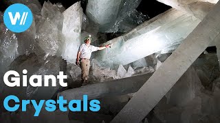 Crystal Palace hidden beneath the Mexican desert | The Mystery of the Giant Crystals