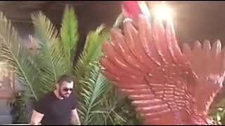 Cengiz Şıklaroğlu Papağanı Hiç Kimse De Yok Çerkez Cengi̇z