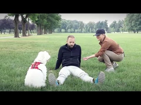 Video: Come aiutare un cane sottomesso a costruire la fiducia