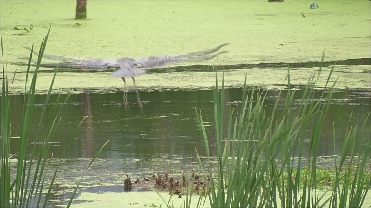 Window On The Waterfront  |  Holland, Michigan 081322