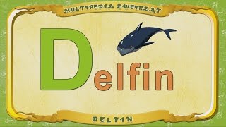 Multipedia Zwierząt. Litera D - Delfin