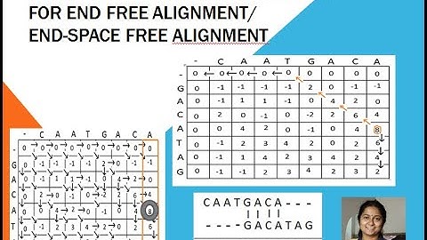 Dynamic Programming Algorithm for End Free Alignment (or) End-Space Free Alignment