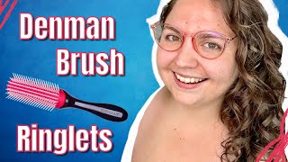 IS THE DENMAN BRUSH OVERRATED?