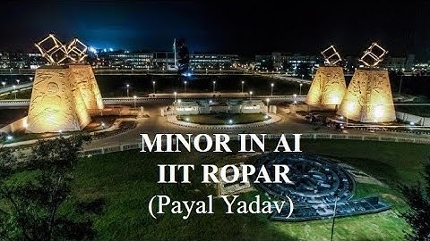 I want to solve this problem through minor in AI - IIT ROPAR and why!