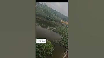 Bắn cá bằng ná thun cực chính xác #nabanca #sungbanca #nobanca