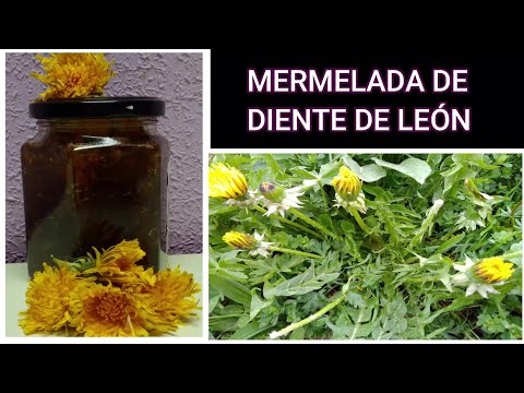 Video: Cómo Hacer Mermelada De Diente De León