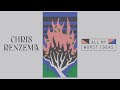 Chris renzema  all my worst ideas official visualizer