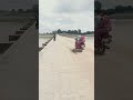 belan nadi