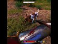 My dog got my back in every situation  #gaming #handtohandcombat #kcd2 #martialarts #gameplay