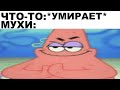 Мемы | Дневная подборка мемов 327