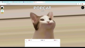 Clicking myself vs auto clicking in POPCAT