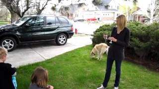 Easter Egg Hunt 2011