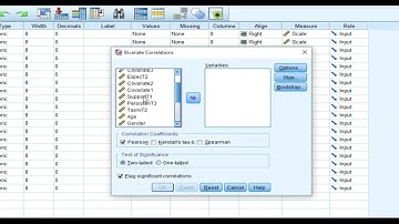 Pearson Correlation with Likert Scale Data in SPSS