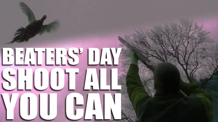 Beaters' day: shoot all you can