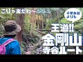 初心者おススメ!!金剛山の王道は寺谷ルート!! ヘタレ夫婦登山Vol.27