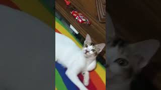 Download Lagu #remix #music #dj #biral #vairalvideoyoutube #vairalvideo MP3