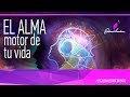 El alma, motor de tu vida