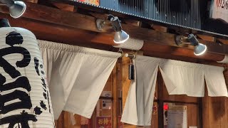 A Day in the Life of a Scientist in Fukuoka, Japan. First week at work, POV, walking tour. Vol. 3