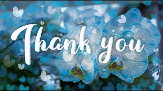 Dankeschön an all meine Abonnenten! - Thank you to all my subscribers!