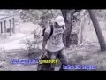 Ipank Buyuang Pulang Nagari Langang Lagu Minang Terbaru